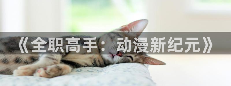 78动漫 官网